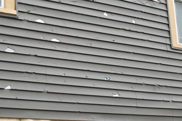 Best Dumpster Rental Services  in Exander City, AL